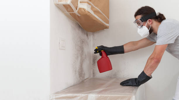 Professional Mold Inspection And Testing technician working in Little Falls, NJ